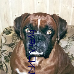 by新入口不谢免费yw