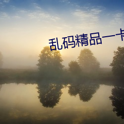 乱码精品(品)一卡2卡二卡三(三)