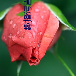 趣播污(wū)直(zhí)播