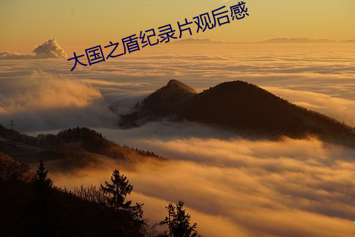 大国之盾纪录片观后感 （神枢鬼藏）