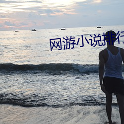 网游小(小)说排(排)行榜