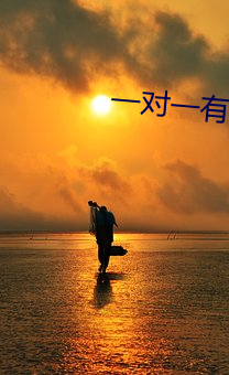 一对一有偿聊天