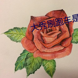 大秀刷跑车是什么app