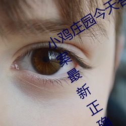 小(xiǎo)鸡庄园今(jīn)天答(dá)案4.9 小鸡庄(zhuāng)园今天答案(àn)最新正(zhèng)确答案2022