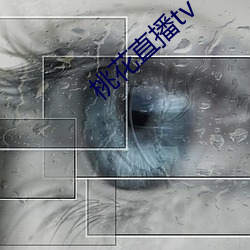 桃花直播tv （跌宕昭彰）