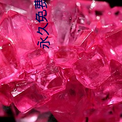 永久免费不收费无限看