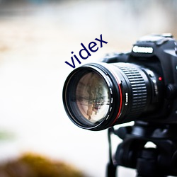 videx