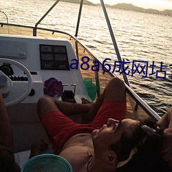a8a6成网坫18在线观看迪园