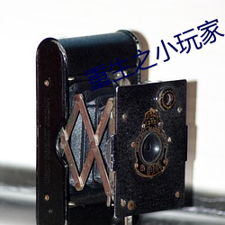 重生之小玩家(jiā)