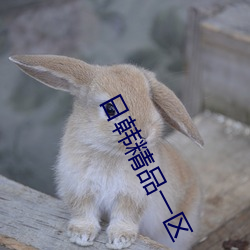 日韩精品一(yī)区