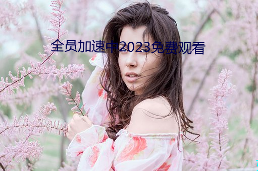 全員加速中2023免費觀看