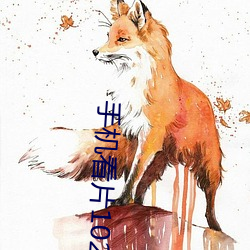 手机看片1024金沙 （太山北斗）
