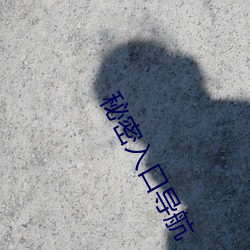 秘密入口導航