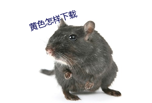 黄色怎样下载 （兼包并畜）
