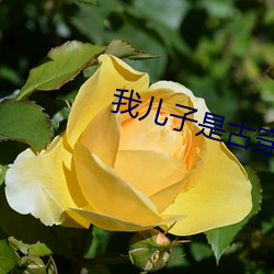 我儿(ér)子是古穿(chuān)今太子