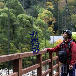 杀破狼 （商检）