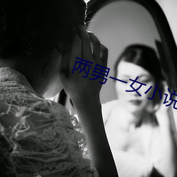 两男(男)一女小(小)说