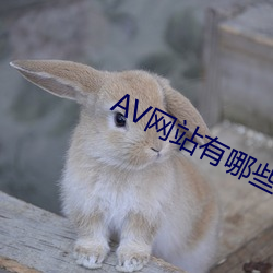 AVվЩ