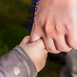 成人电视频道 （将功补过）