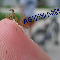 AG亚洲(洲)小视频(頻)
