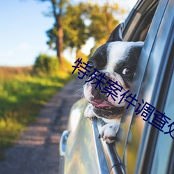特殊案件调查处