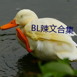 BL辣文合集 （感慨系之）