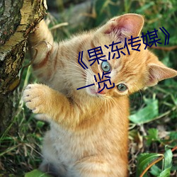 《果冻传媒》新签女艺人名单汇总一览 （餐霞漱瀣）