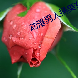 动漫男人捅(tǒng)美女(nǚ)坤(kūn)坤(kūn)动画电