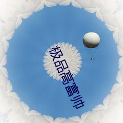 极品高富(富)帅(帥)