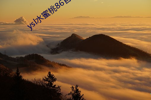 ysl水(shuǐ)蜜桃86官网
