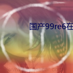 国产99re6在线视频播放