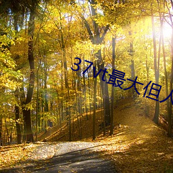 37vt最大但人文艺术