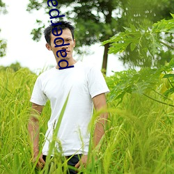 paperpass免费(fèi)入口