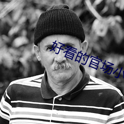 好看的官场(場)小(小)说