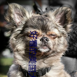 好看(kàn)的美国大片