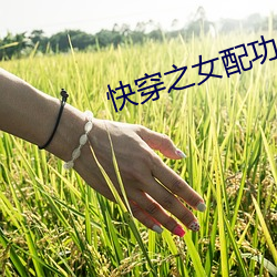 快穿之女配功德无量