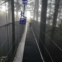 国产一线二线三线的区别 （鞍马之劳）