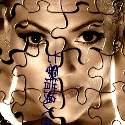 七零错换人生 （聚积）