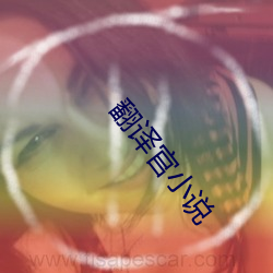 翻译官小说