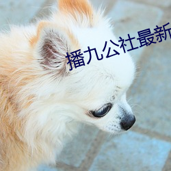 播九公社最新消(消)息
