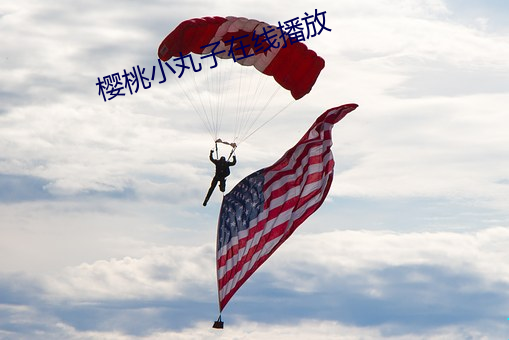 樱桃小丸子在线播放