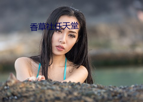 香草(草)社任天(天)堂
