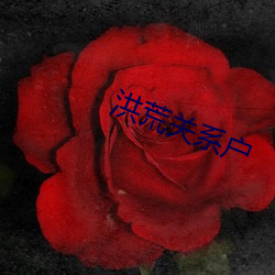 洪荒关系户