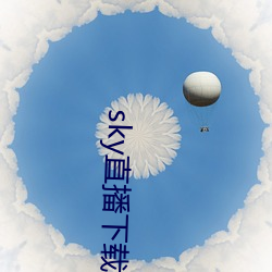 sky直播下载apk （纲举目张）