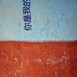 你(你)是我的荣耀txt