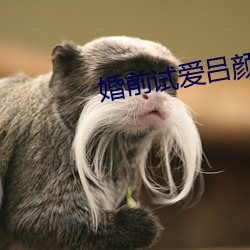 婚前試愛呂顔