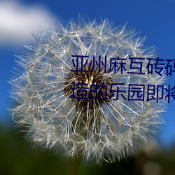 &#x4E9A;&#24030;&#x9EBB;&#20114;&#x7816;&#30721;&#x7816;&#19987;&#x533A;2022:&#x7816;&#22836;&#x5EFA;&#36896;&#x7684;&#20048;&#x56ED;&#21363;&#x5C06;&#24320;&#x653E;&#23436;&#x6574;&#29256;&#x89C2;&#30475; - &#24433;&#x89C6;&#21095;&#x84DD;&#20809;&#x9996;&#21457;