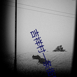 吉祥村一条街50一次 （马尾辫）