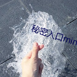 秘(秘)密入口mini21