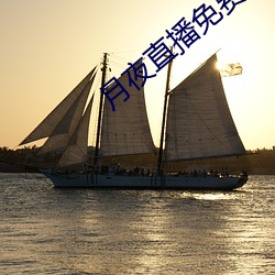 月夜直播免費完整版觀看